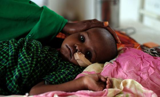 Humanitarians call for greater support to prevent famine in Horn of Africa